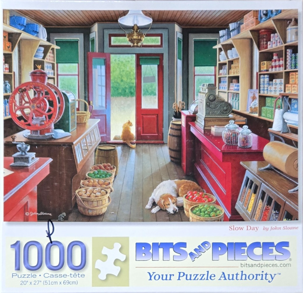 A nostalgic illustration of a quiet country store interior with a dog sleeping on the floor and a cat looking out the door.