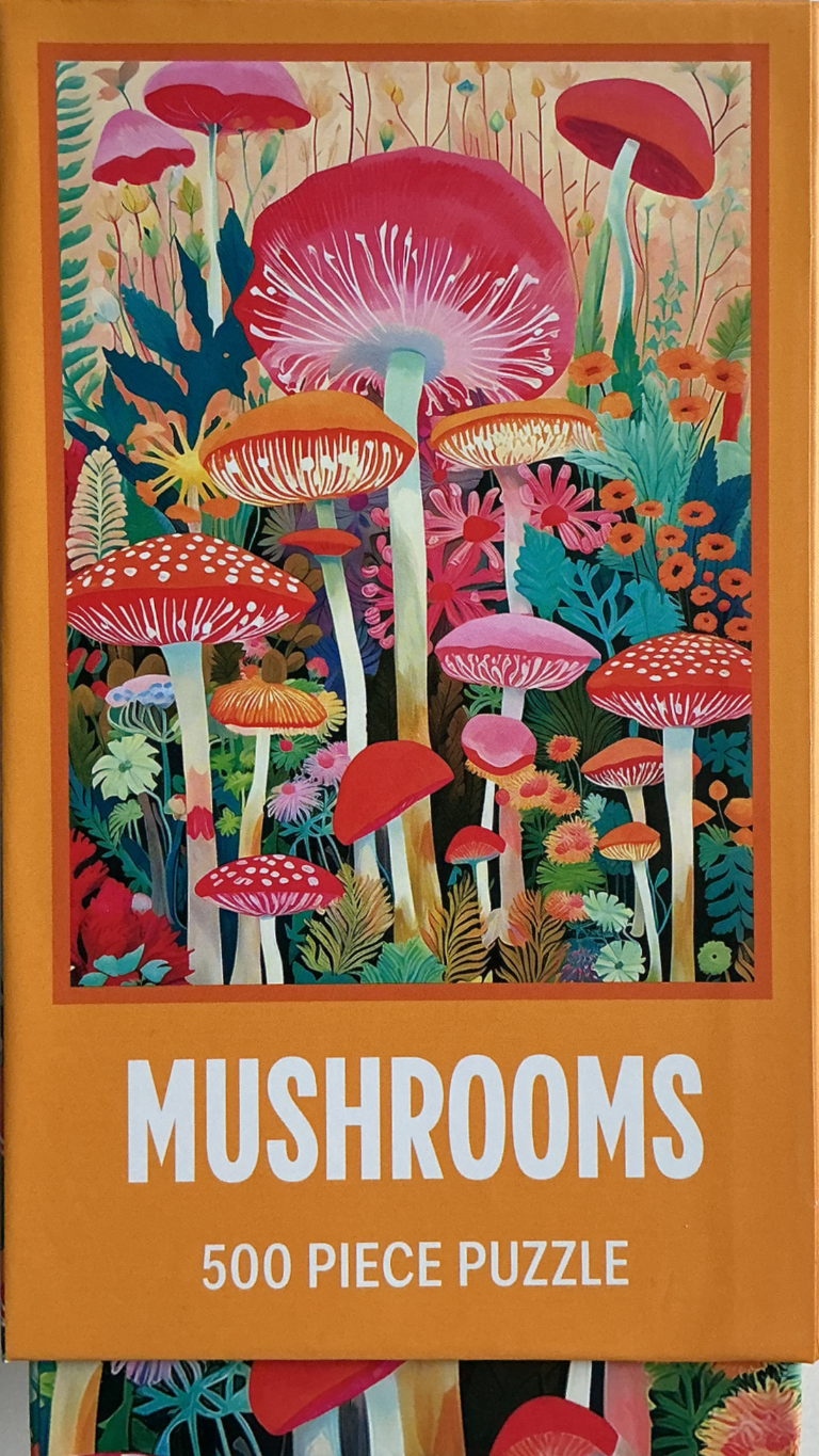 An illustration of various mushrooms in shades of red, pink, and orange set against a lush, dark forest floor.