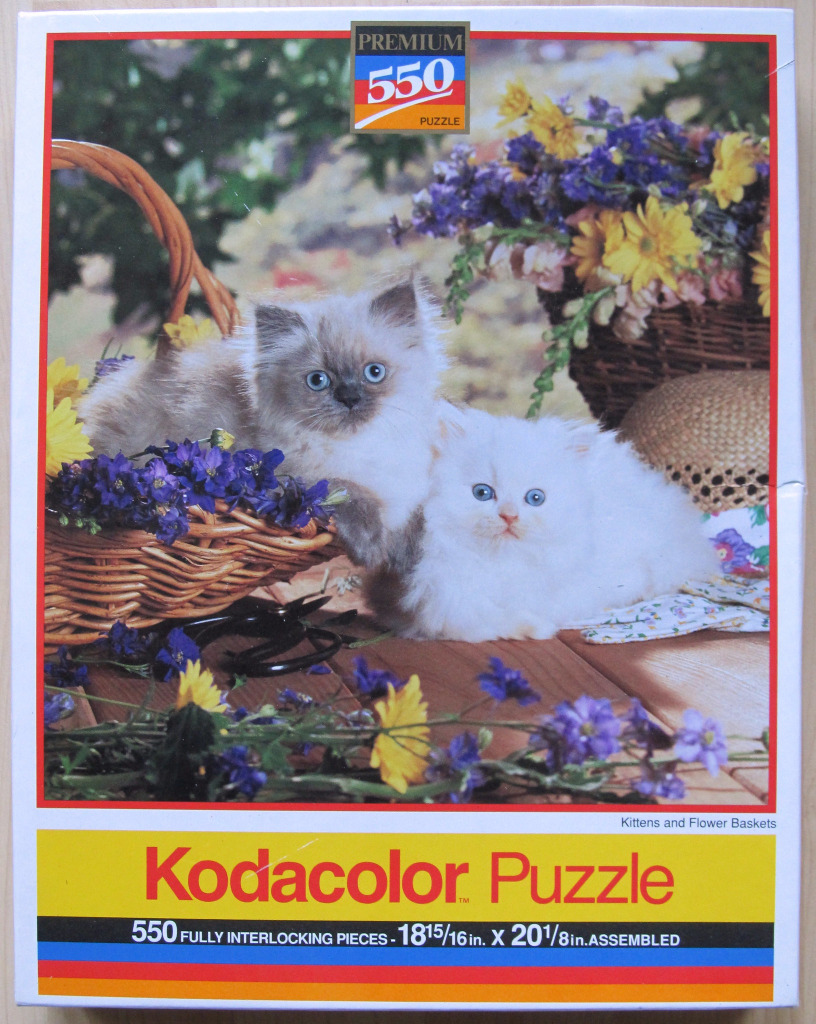 Two fluffy kittens with blue eyes sitting with wicker baskets and purple and yellow flowers.