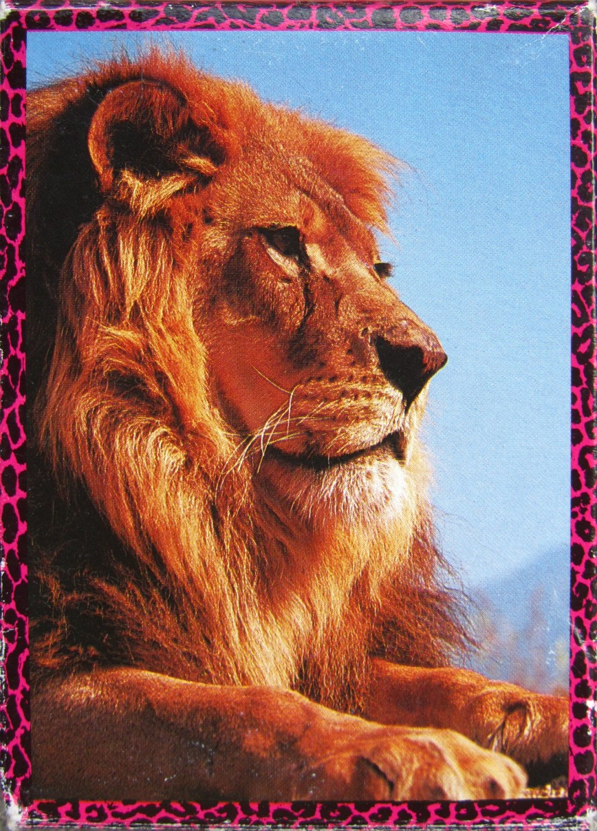 A close-up profile portrait of a majestic male lion with a full, golden mane against a clear blue sky.