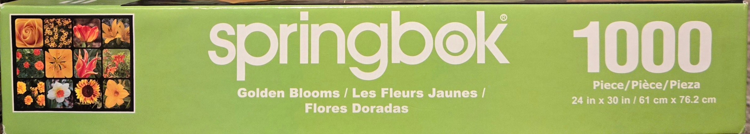 Golden Blooms