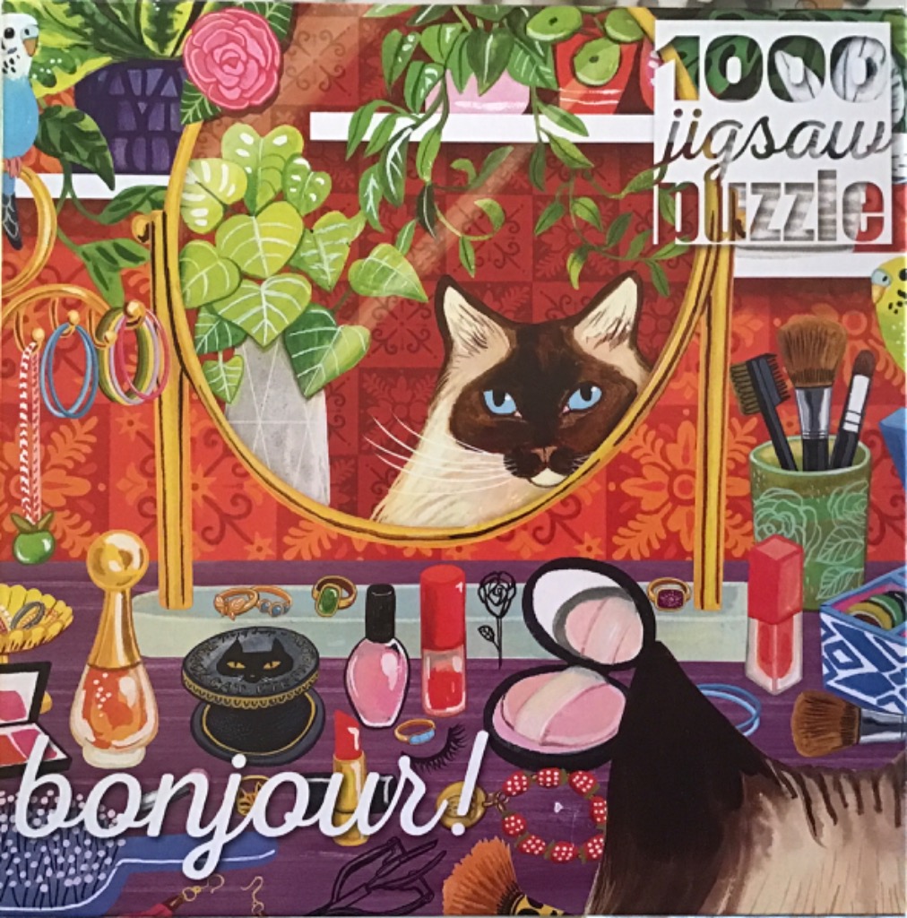 Illustration of a Siamese cat looking into a vanity mirror surrounded by makeup, jewelry, and plants.