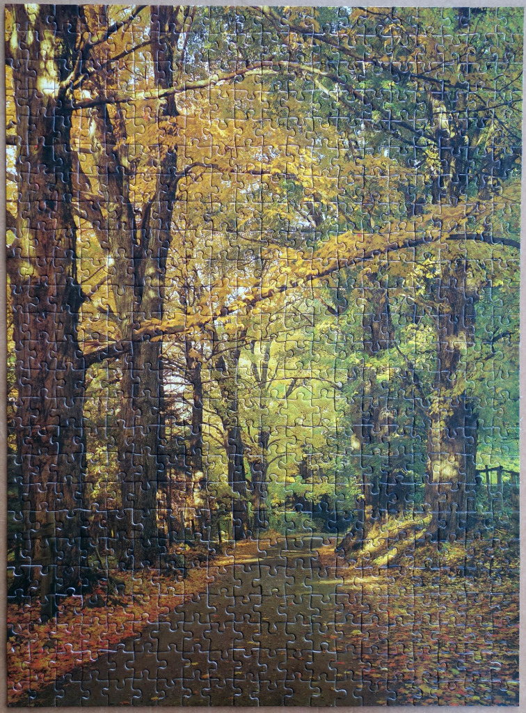 A sunlit forest path framed by tall trees with vibrant autumn foliage.