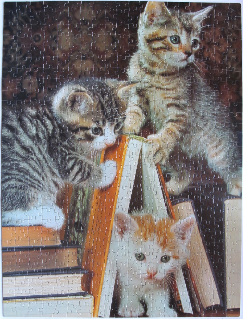 Three kittens playing with a stack of old books against a dark patterned background