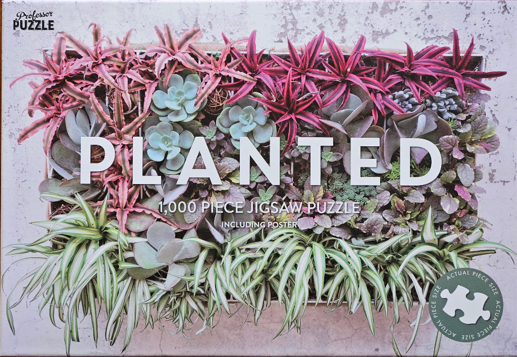 A close-up view of a lush vertical garden arrangement with pink, green, and silvery succulents and foliage.