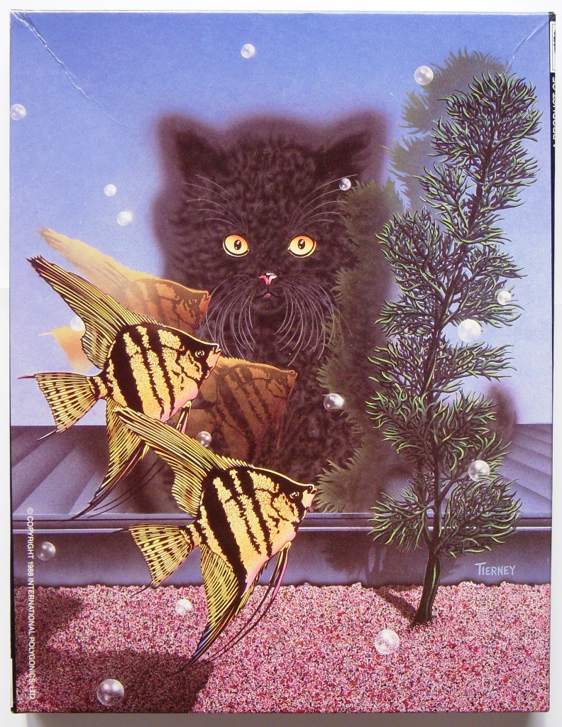 A black cat watches two angelfish swimming in an aquarium.