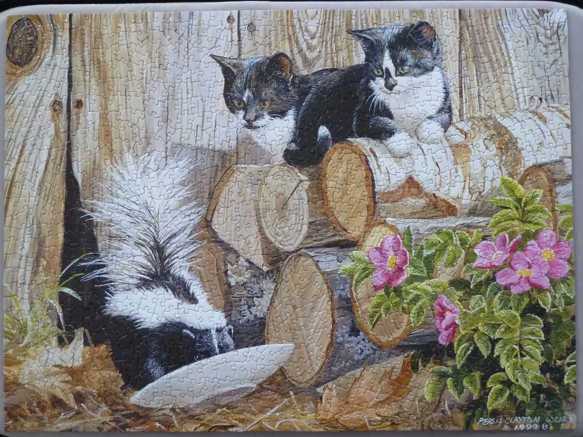 Two black and white kittens perched on a wood pile above a skunk eating from a white bowl.