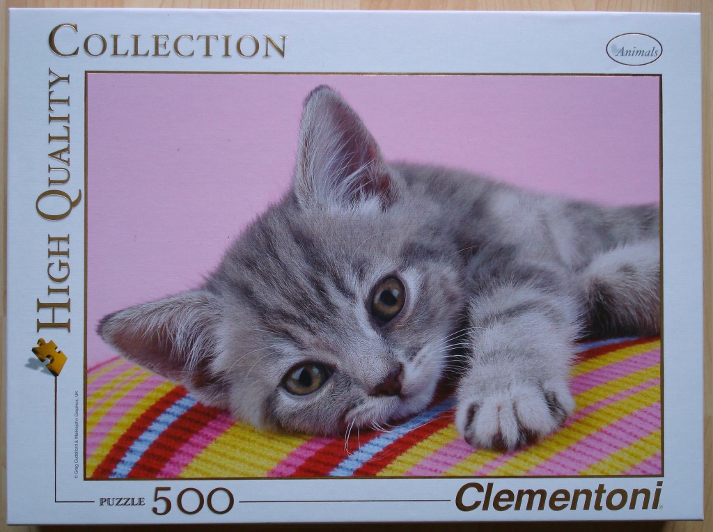 A close-up photograph of a grey tabby kitten lying on a bright, multi-coloured striped blanket.