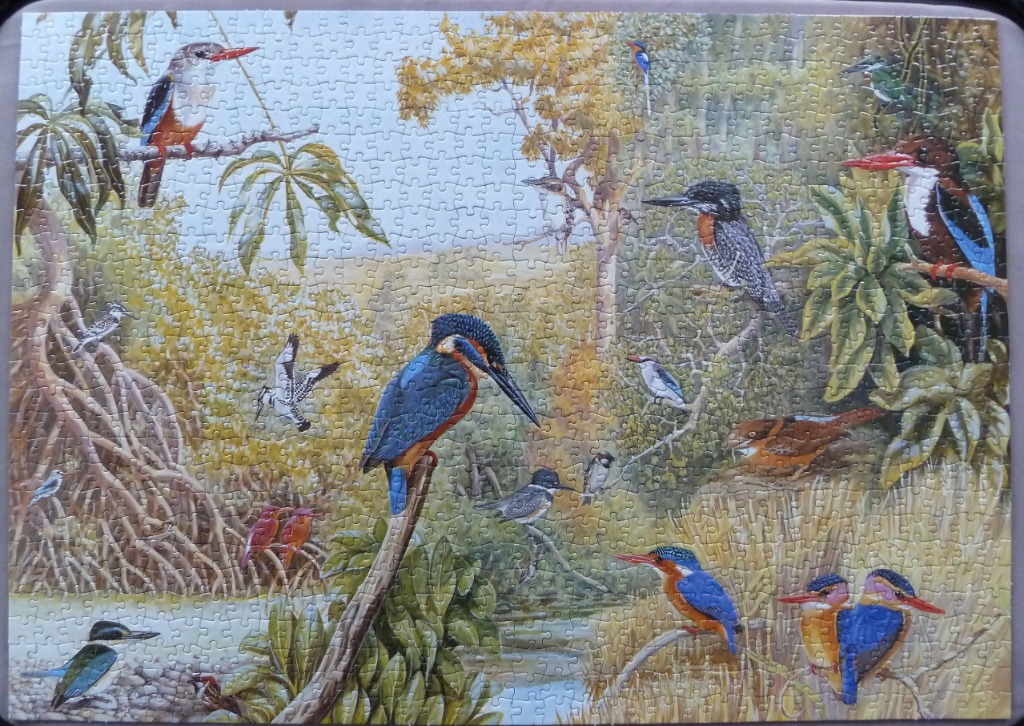 A detailed illustration of various kingfisher species gathered in a lush tropical wetland habitat.