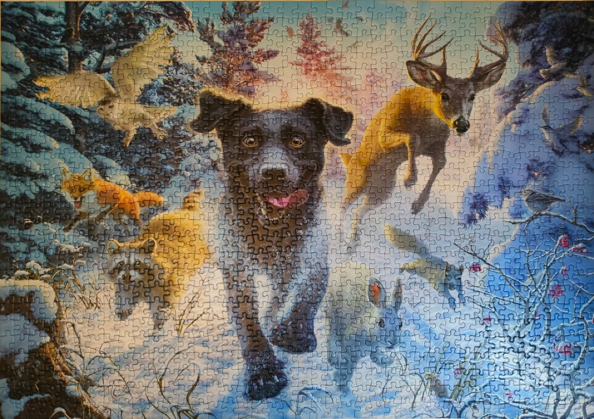 A black dog running through a snowy forest surrounded by various woodland animals.