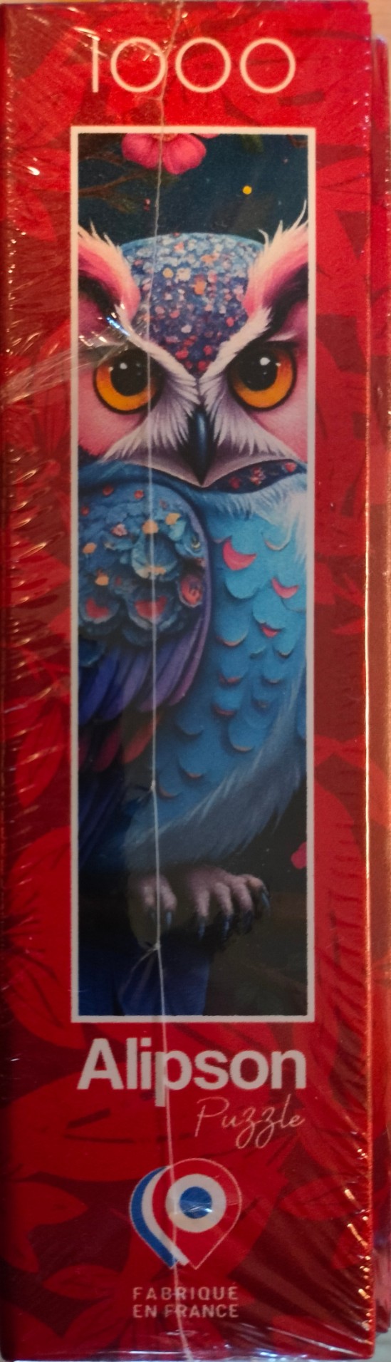 Hiboux Et Nuit Enchantée