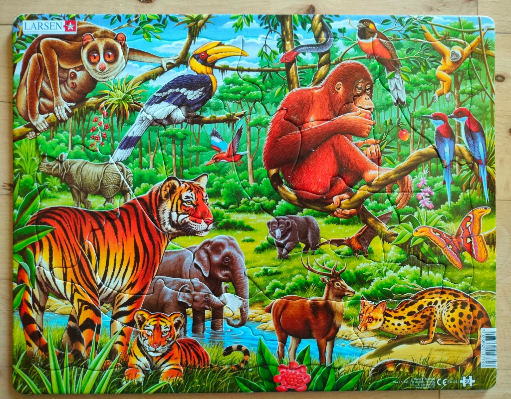 An illustration of many wild animals gathered together in a lush green jungle habitat.