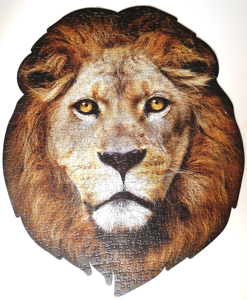 A detailed, close-up portrait of a lion's face shaped like the animal's head.