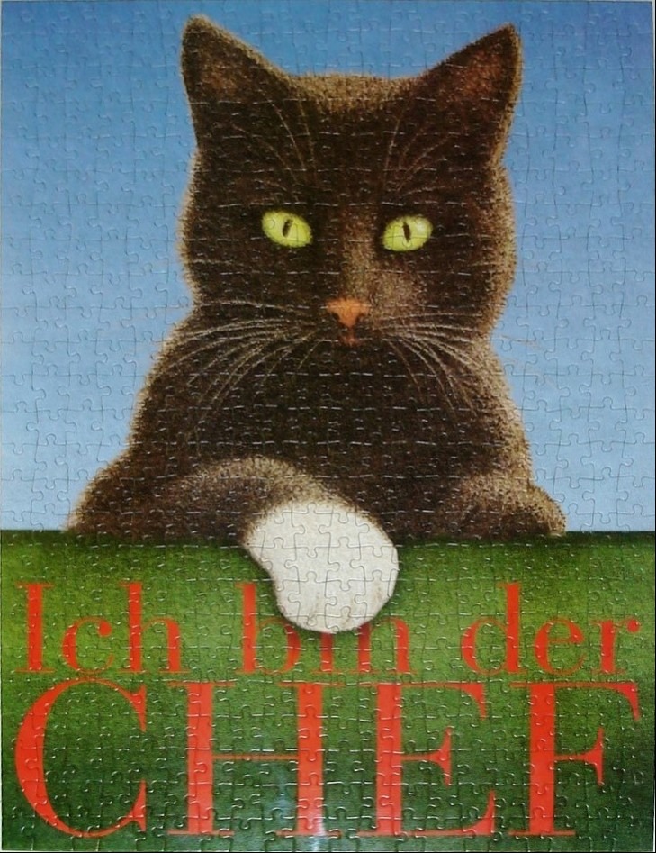 An illustration of a black cat with one white paw resting on a ledge over the text Ich bin der CHIEF.