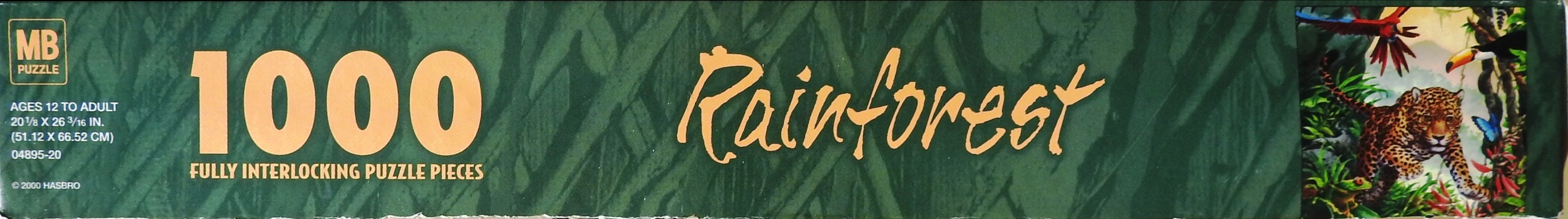 Rainforest