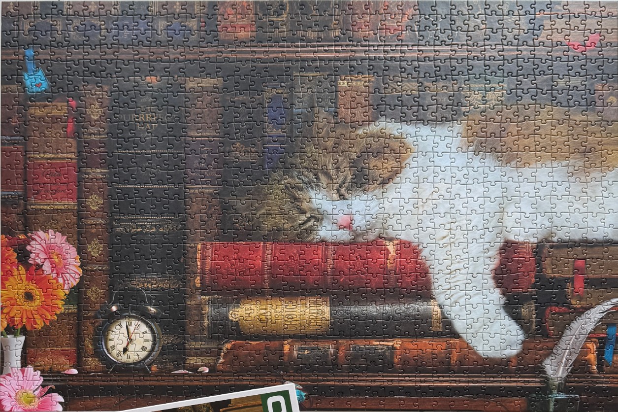 A tabby and white kitten sleeping on a stack of antique books in a library setting.