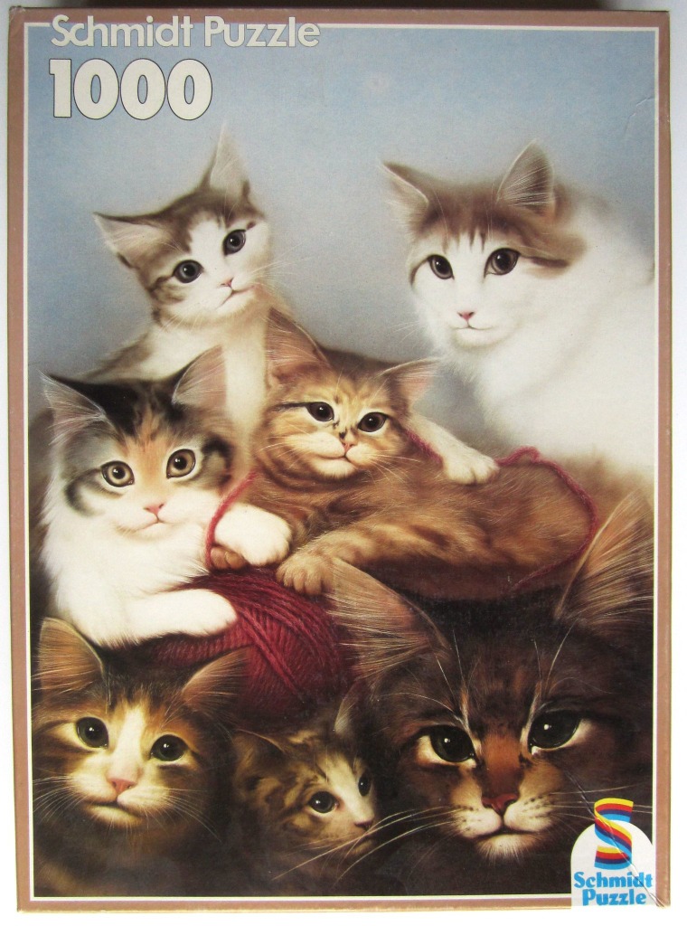 A group of six long-haired kittens and cats arranged in a portrait against a soft grey background.