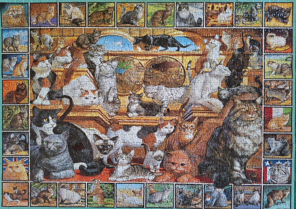 A collage of many cat breeds and types arranged around a central scene of cats in a library-like room with globes.