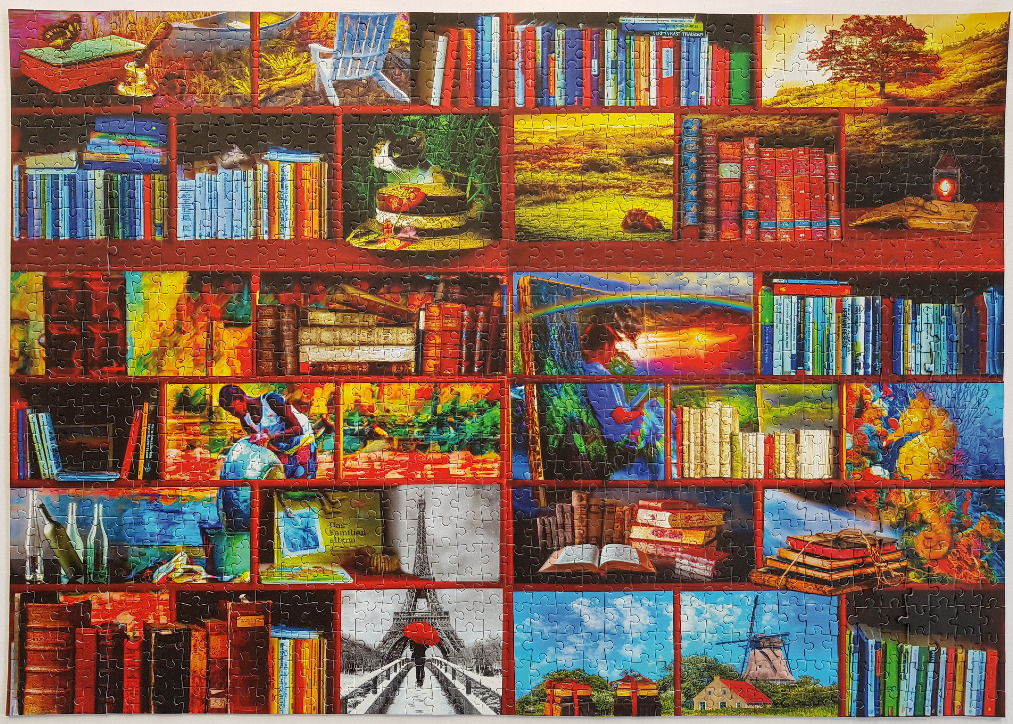 A collage of bookshelves intermixed with scenic landscapes, travel landmarks, and artistic vignettes.