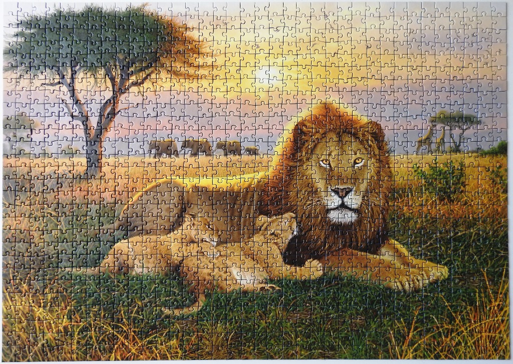 A male lion resting in savanna grass with two cubs at sunset with a large acacia tree and elephants in the background.