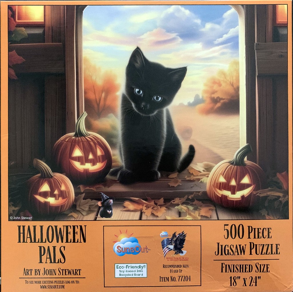 A black kitten sitting between three glowing jack-o