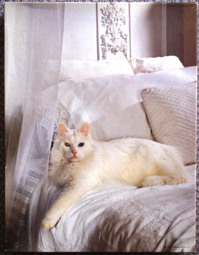 A fluffy white cat with heterochromia resting on a white bed in a bright, elegant room.