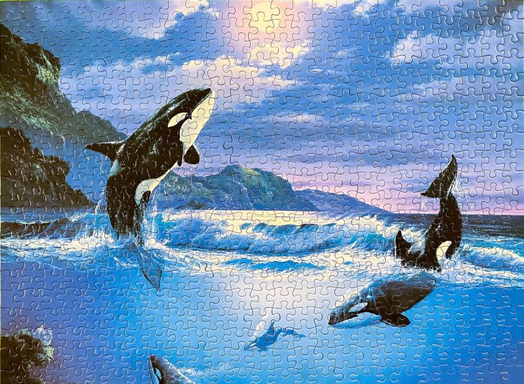 A pod of orcas breaching in a coastal sea under a twilight sky with a bright moon.