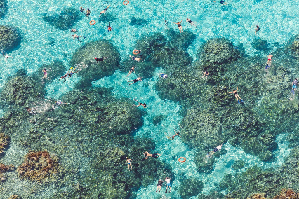 Aerial view of people swimming and snorkeling in clear turquoise water over coral reefs