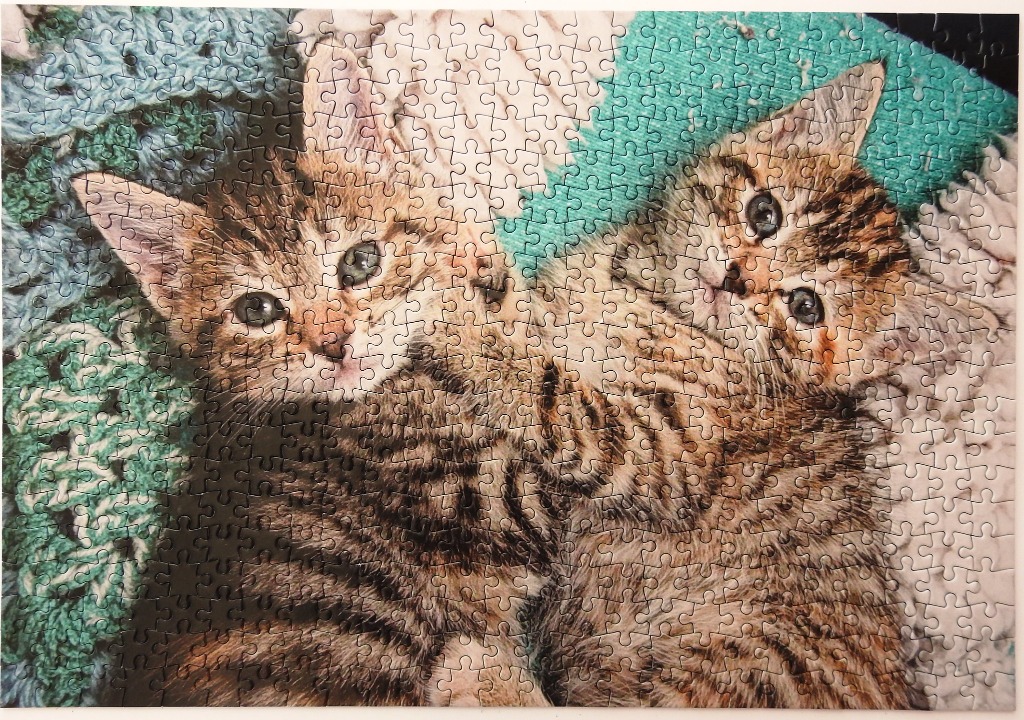 Two fluffy tabby kittens lying together on a textured teal and cream knitted blanket.