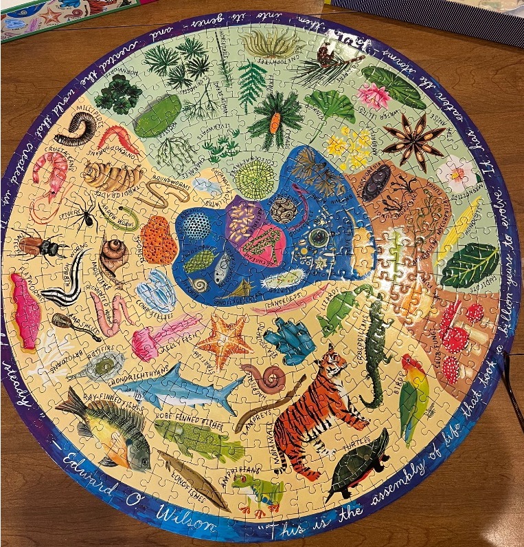 A circular educational diagram illustrating the tree of life with various plants and animals labeled on a colorful background