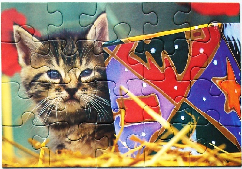 A split-view image featuring a portrait of a tabby kitten on the left and a colourful patterned kite on the right.