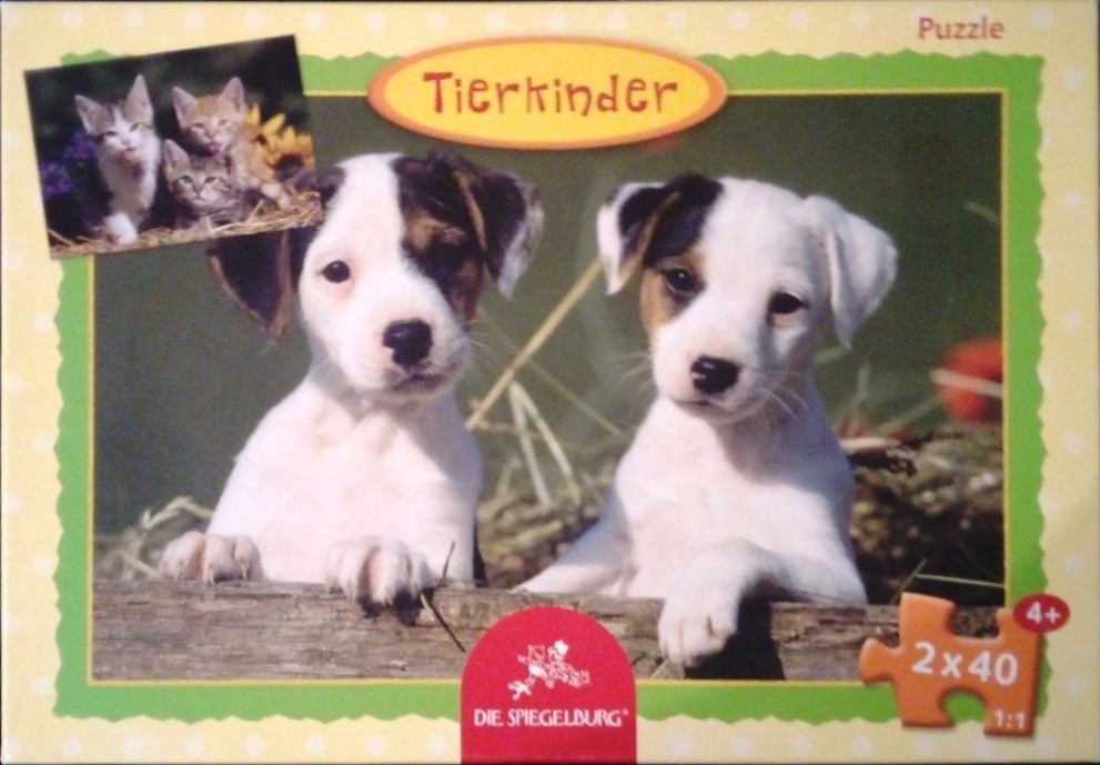Two white and brown puppies resting their front paws on a wooden log.