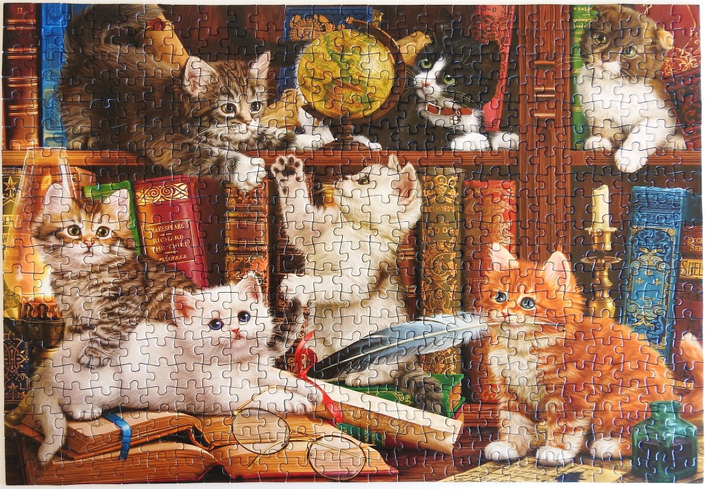 Seven kittens playing among bookshelves and vintage study items.