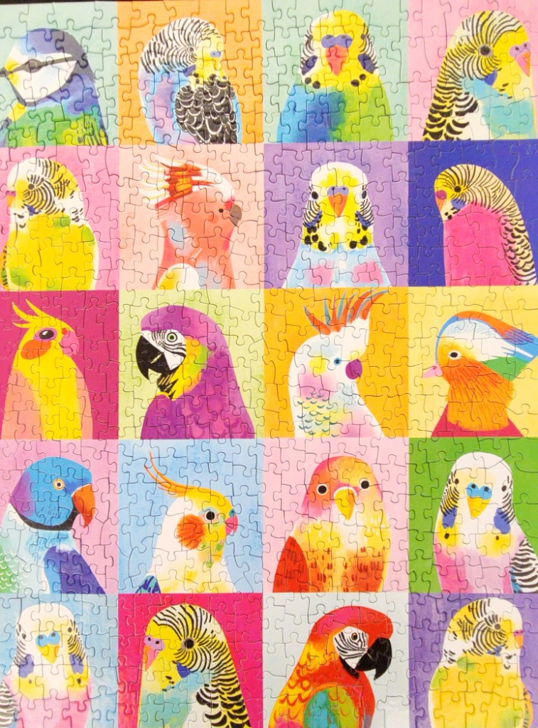A grid of twenty colorful, stylized bird portraits in individual squares.