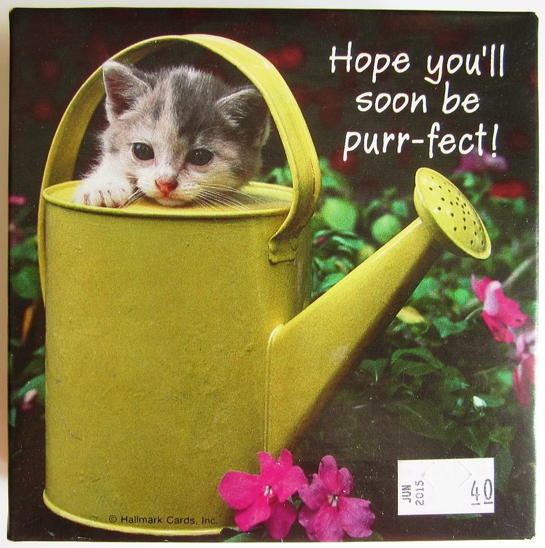 A small kitten peeking out from inside a yellow metal watering can in a garden setting.