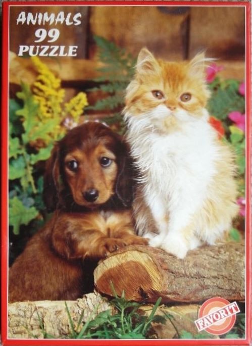 A long-haired dachshund puppy and a fluffy orange and white kitten sitting together on a log.