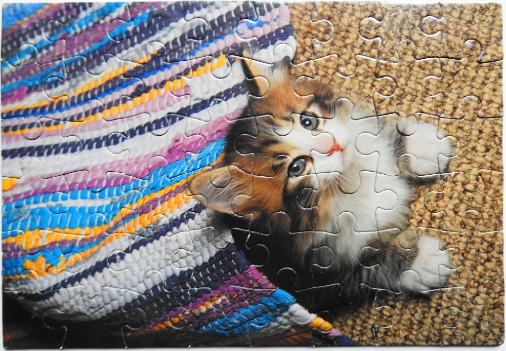 A fluffy calico kitten peeking out from under a colorful striped rug on a carpeted floor.