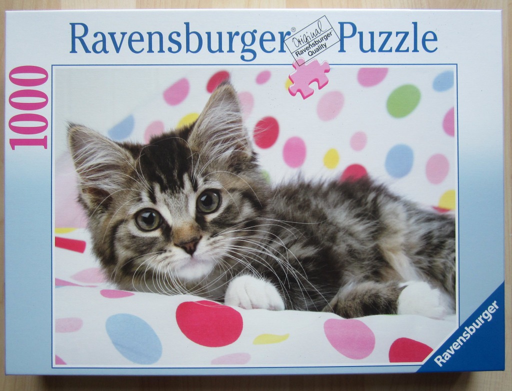 A fluffy brown and black tabby kitten resting on a white fabric surface decorated with colorful polka dots.