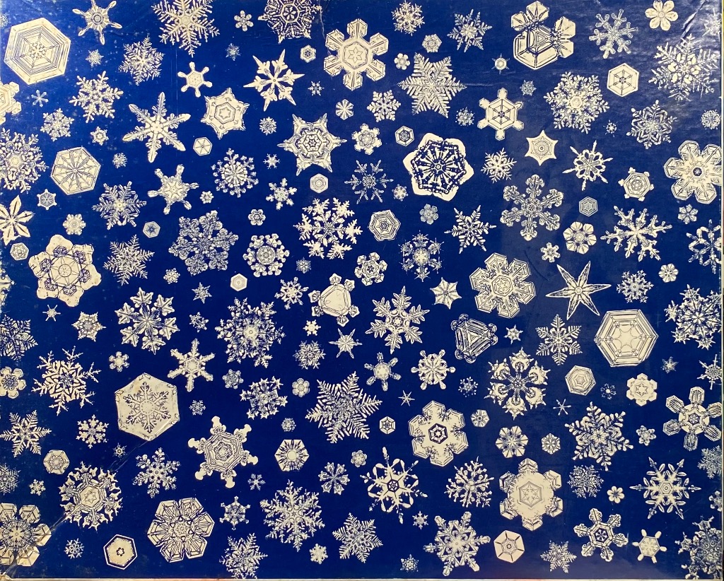 A dense pattern of various intricate white snowflakes against a solid deep blue background.