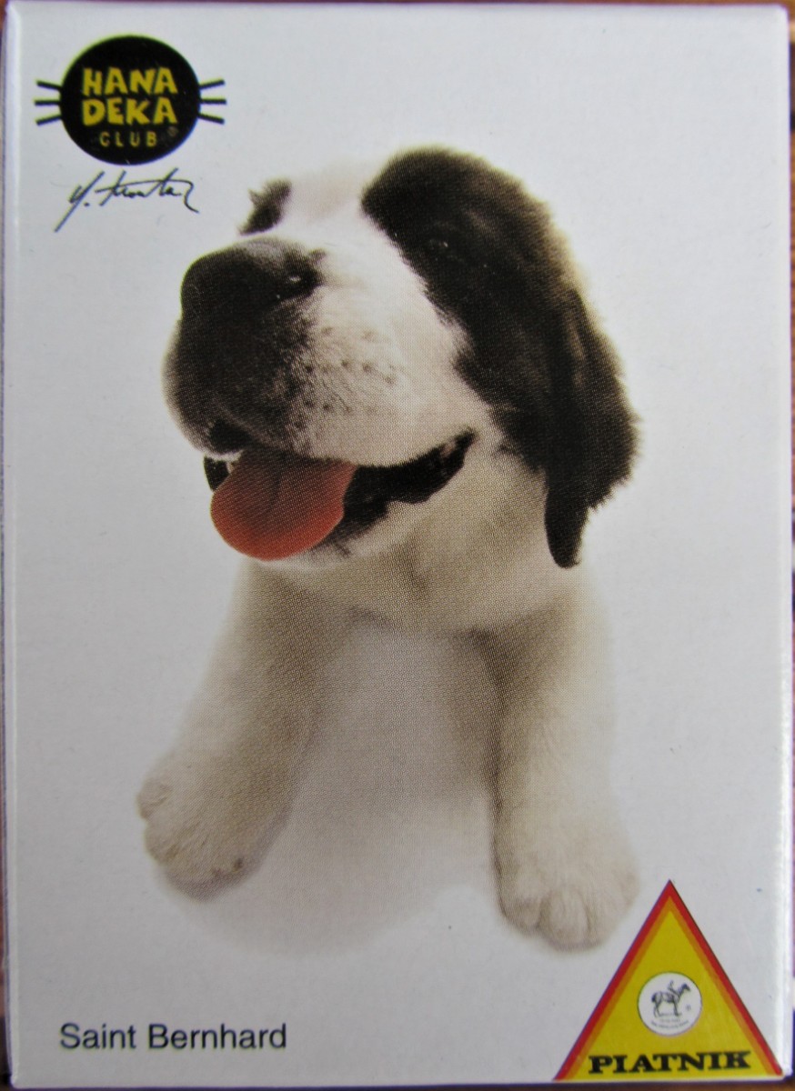 Close-up portrait of a Saint Bernard puppy with its mouth open on a white background.