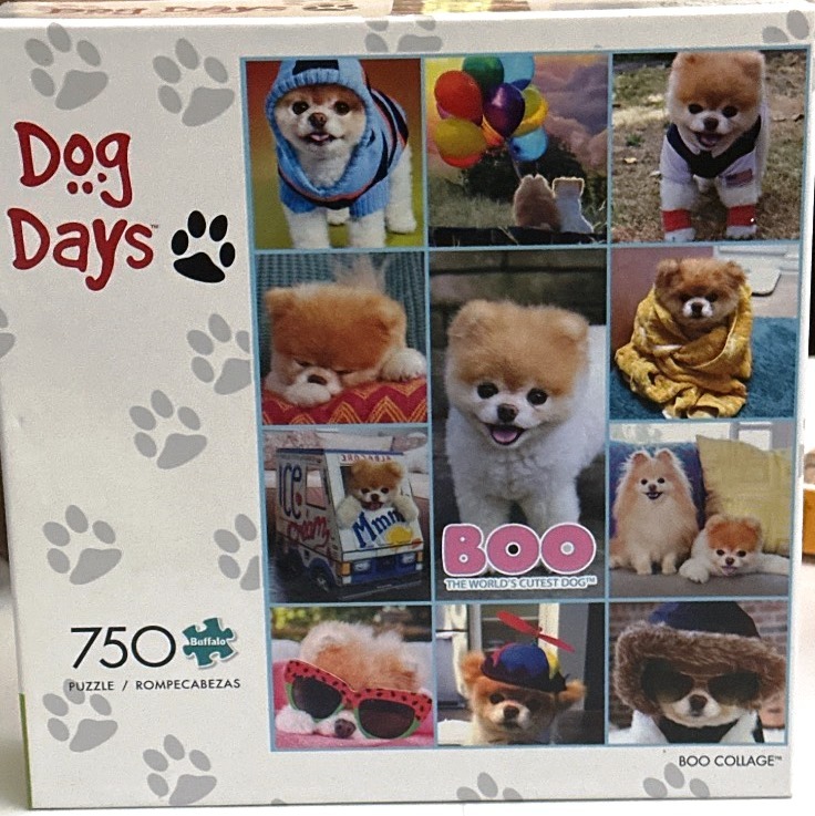 A collage of nine photographs featuring Boo the Pomeranian dog in various costumes and poses.