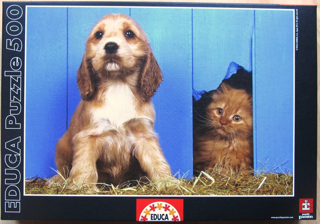 A golden cocker spaniel puppy sitting next to a blue wooden shed with an orange kitten peeking through a hole in the wall.