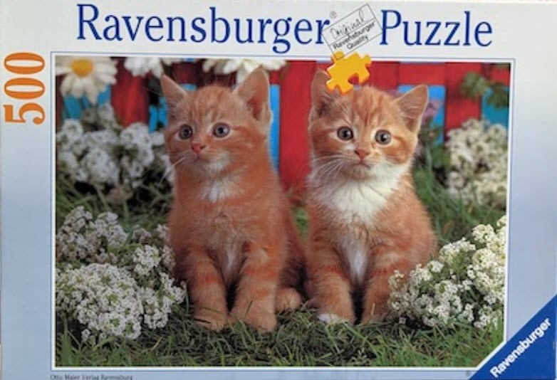 Two ginger tabby kittens sitting in a garden with white flowers and a red picket fence.