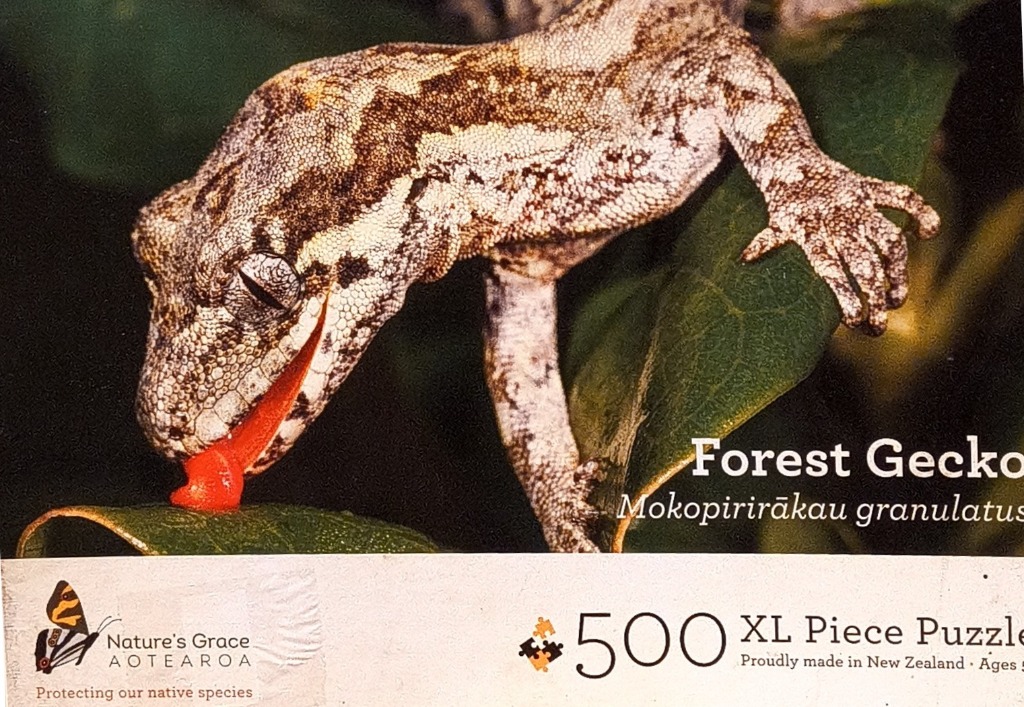 A close-up photograph of a forest gecko with mottled brown and grey scales licking a green leaf.