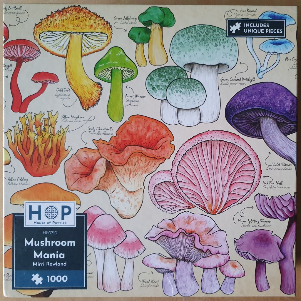 A scientific-style botanical illustration of various colourful mushrooms on a cream background.