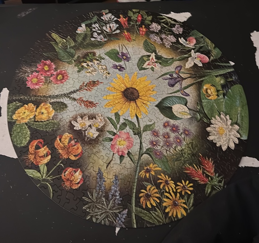 A circular botanical illustration featuring a bright yellow sunflower at the center surrounded by various colorful flowers.