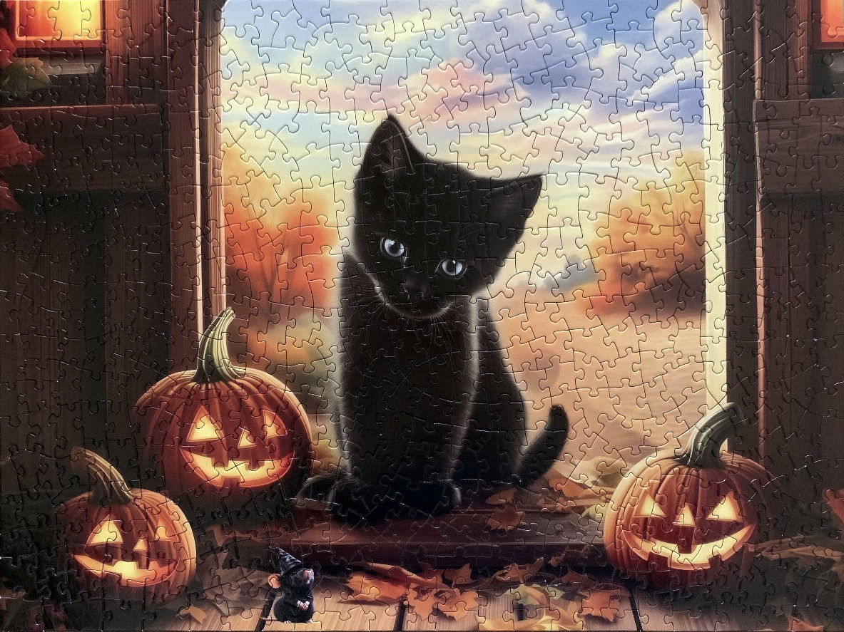 A fluffy black kitten sits in a doorway surrounded by glowing jack-o