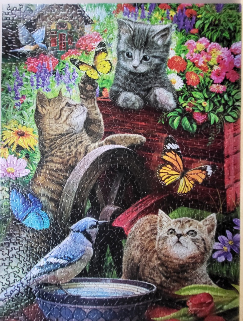 Three kittens playing in a lush garden with butterflies and a blue jay.