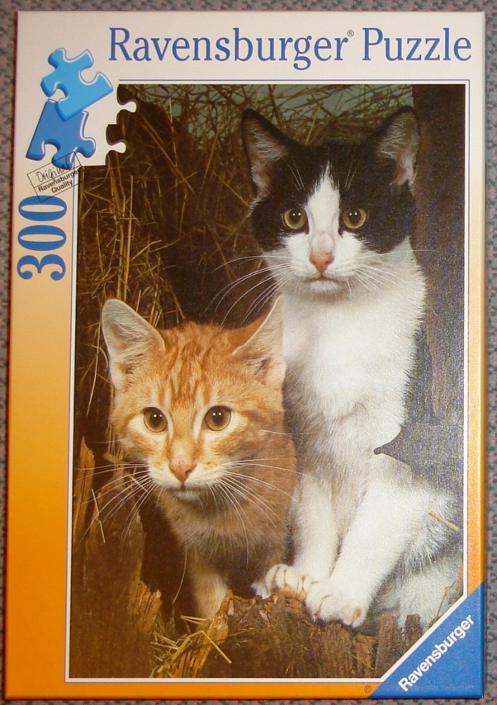 A ginger tabby kitten and a black and white cat sitting together in a wooden, hay-filled space.
