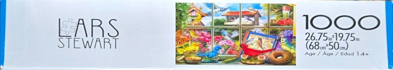 Bird Watching Fun